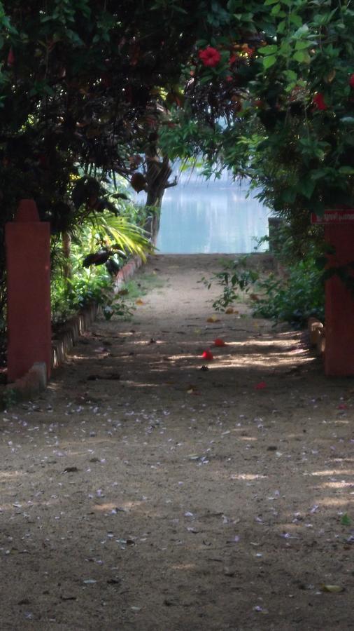 Big Banana Island Retreat Hotel North Paravur Exterior photo
